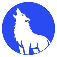 coytx.com roulette в Telegram: крипто-розыгрыши и meme coins