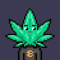 FUDLESS GAME в Telegram: коллективная викторина