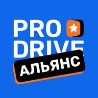 ProDrive  в Telegram: цифровой альянс для водителей-профессионалов