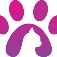 PawsCombat tApp Game в Telegram: игровой бот с токенами $PPAWS