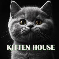 Kitten House Crypto в Telegram: airdrop за возраст аккаунта