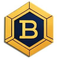 Bitbock coin в Telegram: обзор возможностей и функций