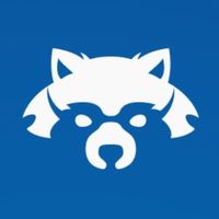 RaccoonLine Clicker Bot в Telegram: обзор возможностей и механик