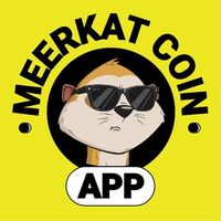 Meerkat Coin App в Telegram: ежедневные задания и монеты