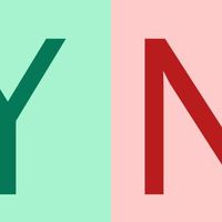 Ask Yes or No в Telegram: однозначные ответы на вопросы