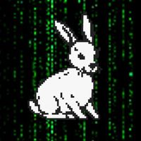 DIstrict Clash // PunkCity в Telegram: бои за районы