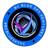 BC Blue Sky Ventures в Telegram: инвестиционные сигналы и NFT-игры