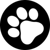 Zoo Ecosystem в Telegram: управление NFT и питомцами