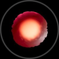 rhizome в Telegram: интерактивное обучение и развитие навыков